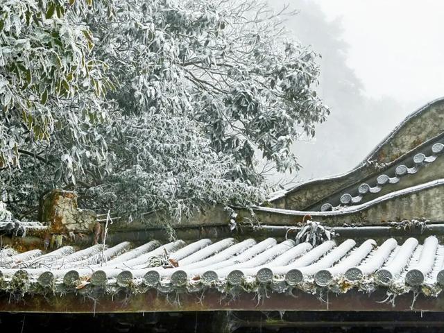 羊狮慕雪国仙境已上线｜大雪持续中，快来福山赏雪！