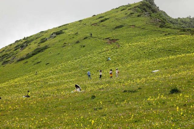 锦绣天府·安逸四川｜四川阿坝：九顶山风景如画