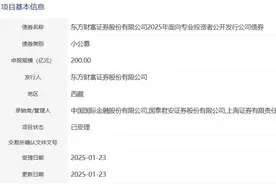 东方财富拟发行200亿元小公募，获深交所受理图片