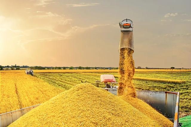 如果你要写溧水的秋天……（文末有福利）