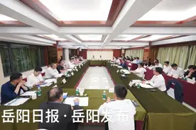 岳阳值得深耕！市委书记珠三角广抛“橄榄枝”图片