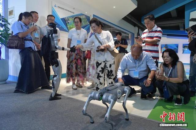 海外华媒漳州行：探寻千年古城工业与文化魅力