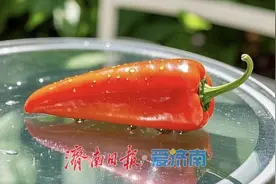【科普天地】蔬菜中的“Vc之王”——辣椒图片