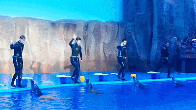 限定文旅推荐官第二弹上线!墙娃儿&砖崽崽~