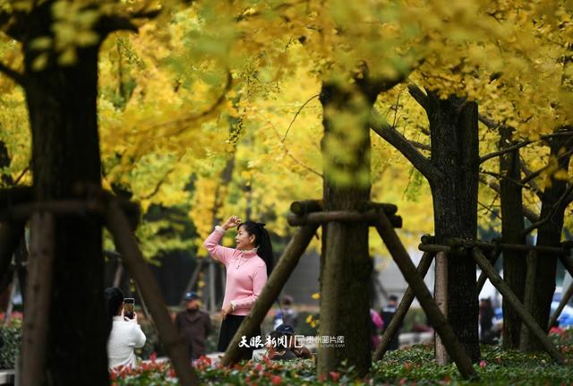 图库推荐丨贵阳：初冬时节好风景