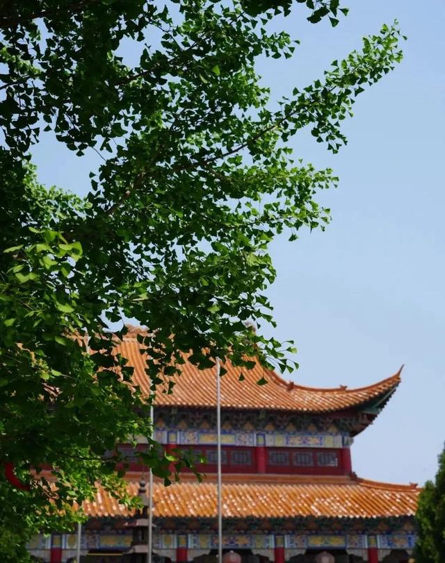 越过山丘，来河南撒欢儿吧~