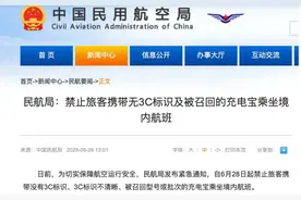 充电宝受限或催热长续航手机市场，荣耀手机半年突破两次续航极限图片