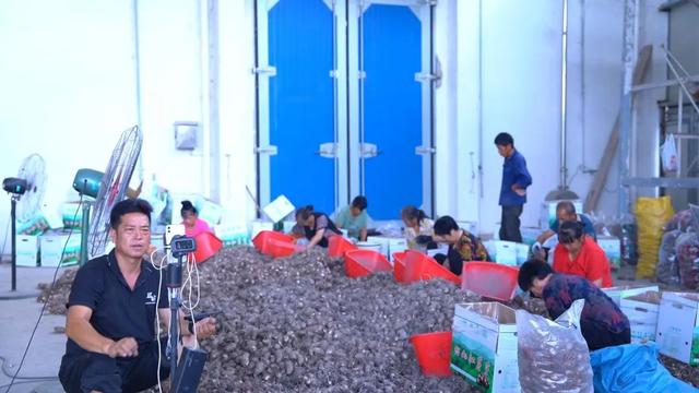 铅山县红芽芋电商直播带货大赛等你来挑战