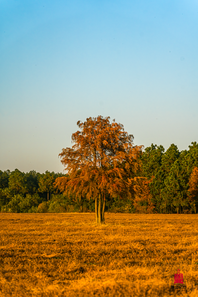寒潮倒计时！再不来就迟了