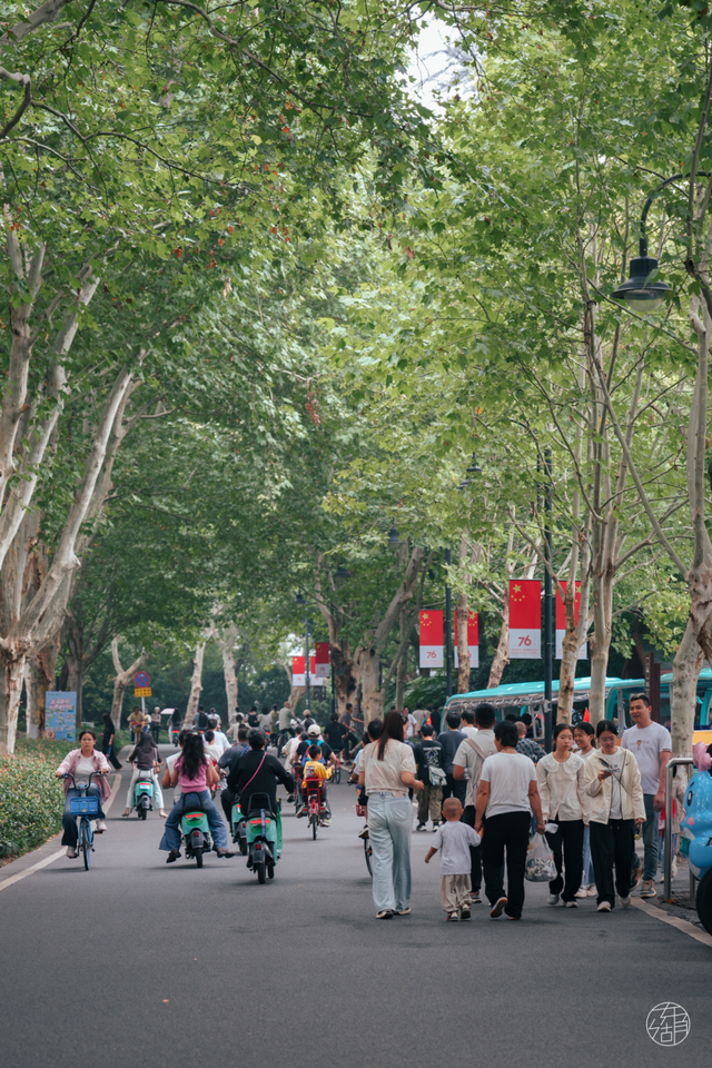 264+万人国庆相约，东湖实力出圈！