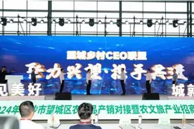 湖南长沙望城乡村CEO联盟成立 打造中部首个乡村CEO孵化基地图片