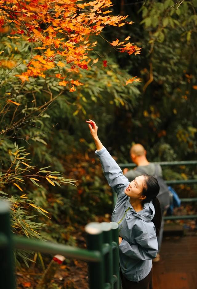 瓦屋山跻身世界旅游名山,“绝壁飞瀑徒步线”获评国际示范线路