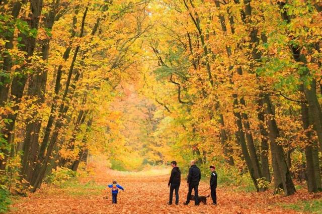 一脚踏进比利时的秋天丨12条「最美秋季徒步路线」全指南 Autumn Hikes in Belgium