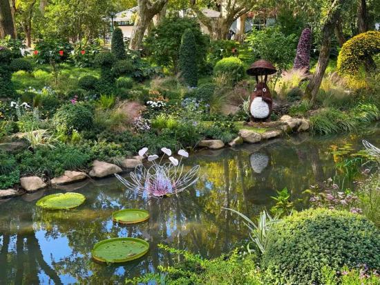 2025上海菊花展在共青森林公园举办 攻略请收好