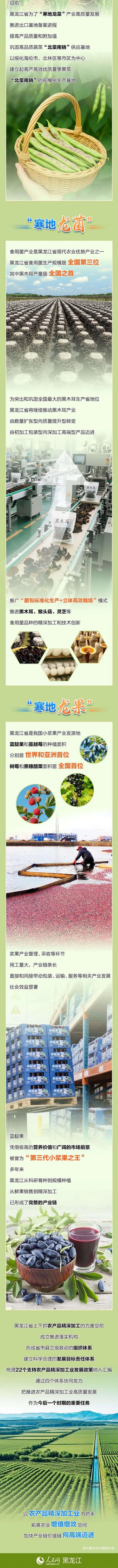 AI了！当龙江特产“链”上精深加工