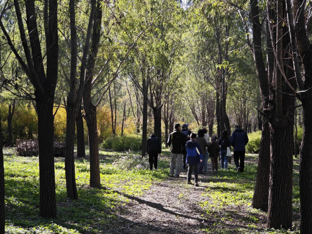 福利丨自然艺术家：温榆河秋叶自然笔记活动招募