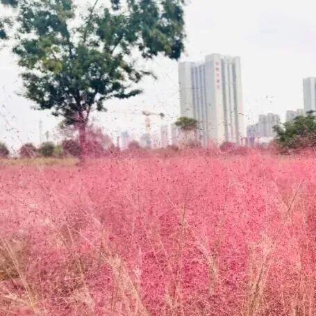 想在伊滨出片？这样拍满满故事感！