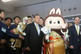 部长亲自接机，粉丝排队抢购 这款中国“特产”为啥火爆泰国？图片