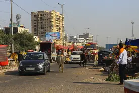 【环时深度】嫁到新德里20年，感受印度的“两面性”图片