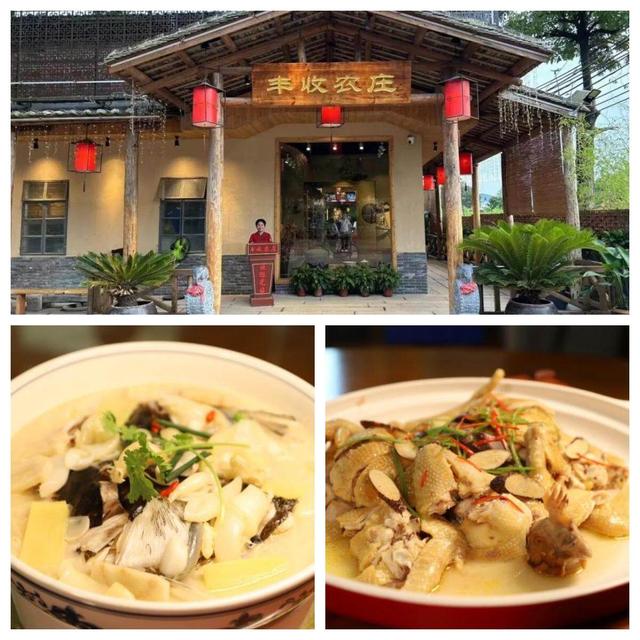 国庆度假去哪儿？欢迎到佛冈汤塘泡珍稀氡泉，品非遗美食