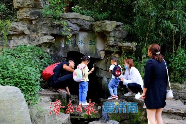 红叶谷景区推出免票福利 百合花海与露营季邀您共赴夏日之约