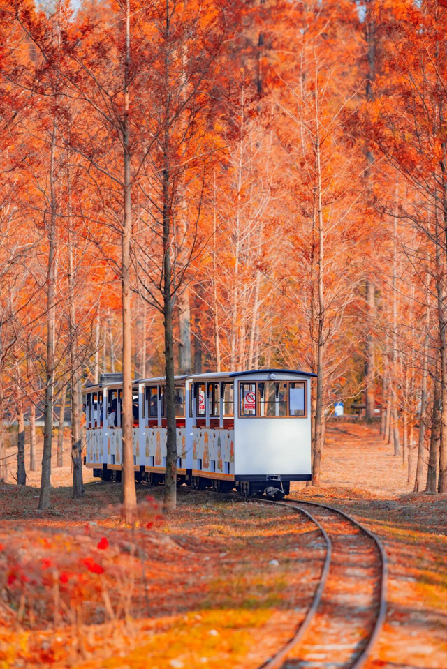 省里又点名了，还是东台