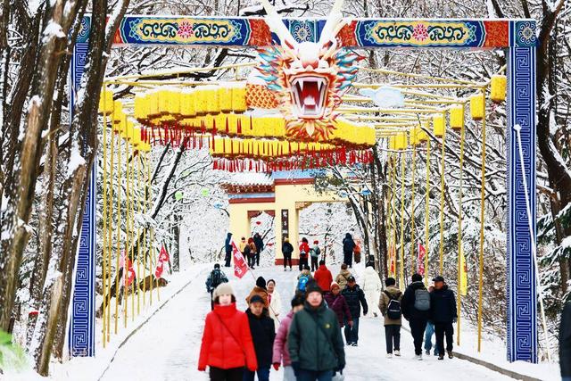 千山飞雪，踏雪寻梅