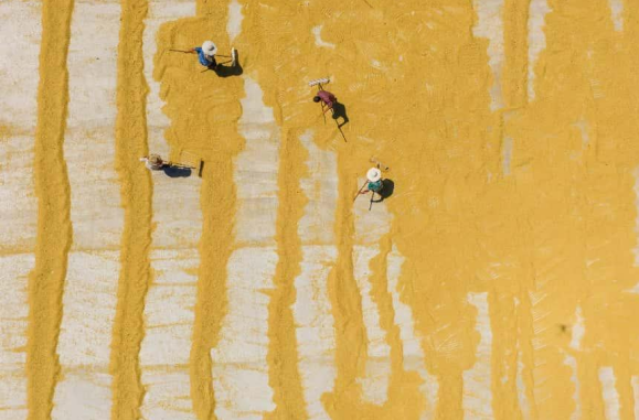 “粮”辰美景入画来