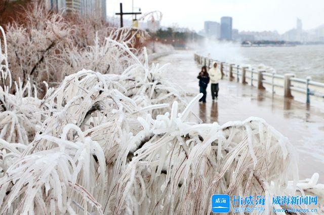 冬游威海 情满山海丨威海上演现实版“冰河世纪”