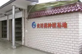 崇明这个村，闲置房变成了致富屋图片