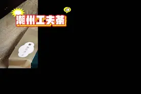 ​  非遗日抢先睇丨广东十大非遗名茶登场，邀您来喝一杯“影响世界的中国茶”图片
