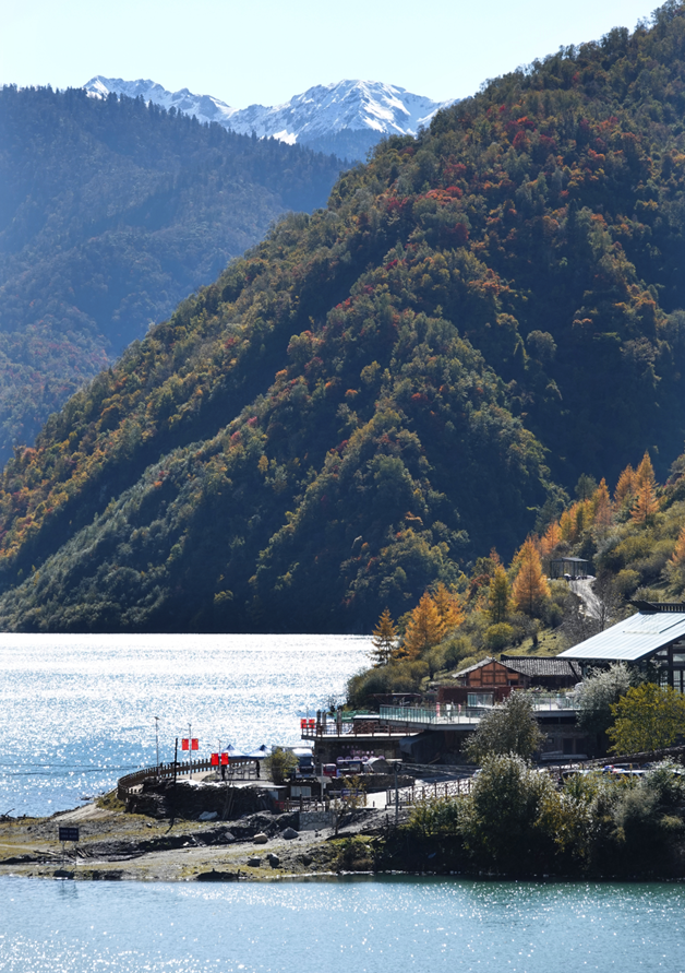 青睐绵阳 ‖ 红透了！周末去平武，沿着“百里彩林走廊”看一场雪山彩林“大片”~