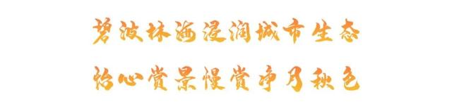 景区通知 请查收→