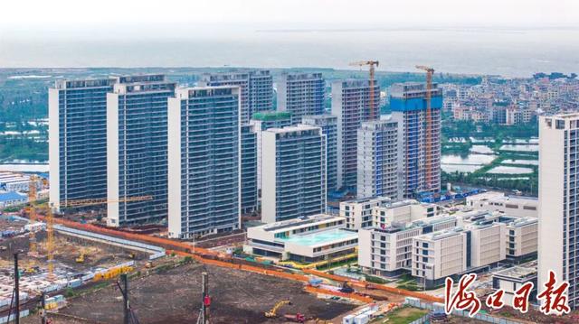 从艺术周到口袋公园，解码海口的“幸福基因”