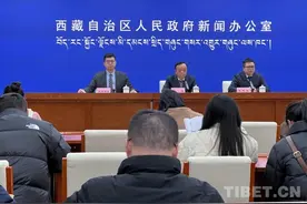 今年以来，西藏全区水利工程建设成效显著图片