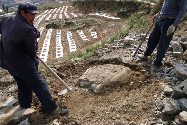 这个小盒子里的化石材料，产生了非常多举世瞩目的成果，有十几篇顶刊文章｜卢静 一席少年第36位讲者
