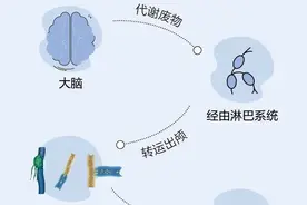 手术治疗老年痴呆，靠谱吗？图片
