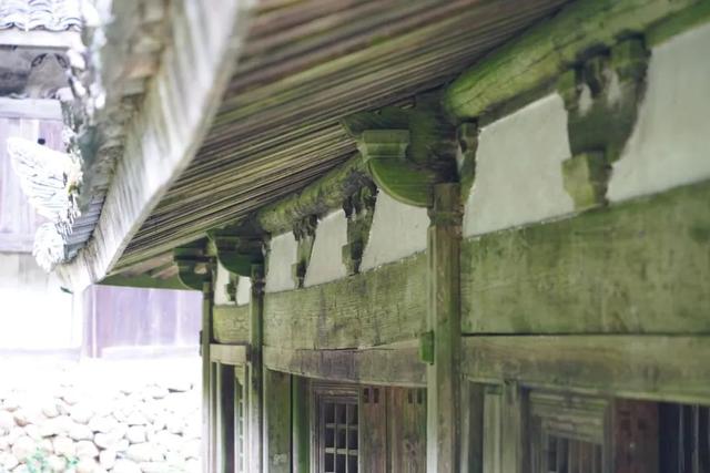浙闽廊桥丨钟晓波：时思寺秘境 行走江南古村-寻数十座山水廊桥（10/3-7）