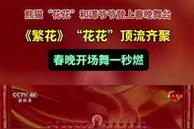 熊猫“花花”和谭爷爷登上春晚舞台！《繁花》“花花”顶流齐聚，春晚开场舞一秒燃图片