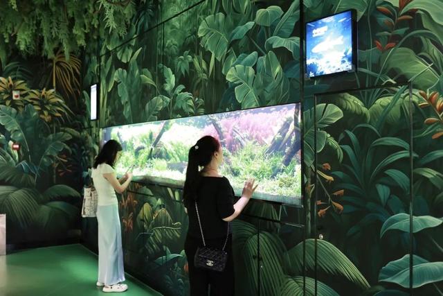 藏在成都的海洋王国，上新啦！