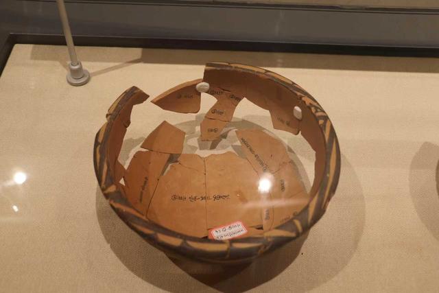 文化“活”起来 旅游“火”起来 体育“动”起来——我市“十四五”时期文旅体事业高质量发展综述