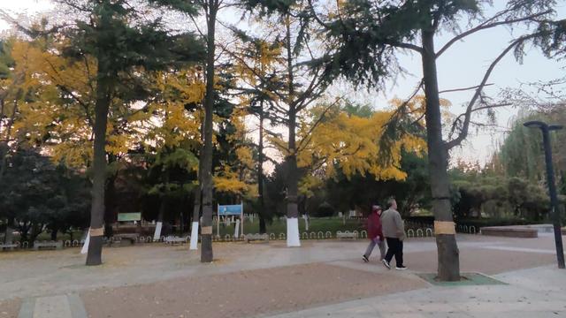 靓丽“秋色”装扮起最美海泊河公园