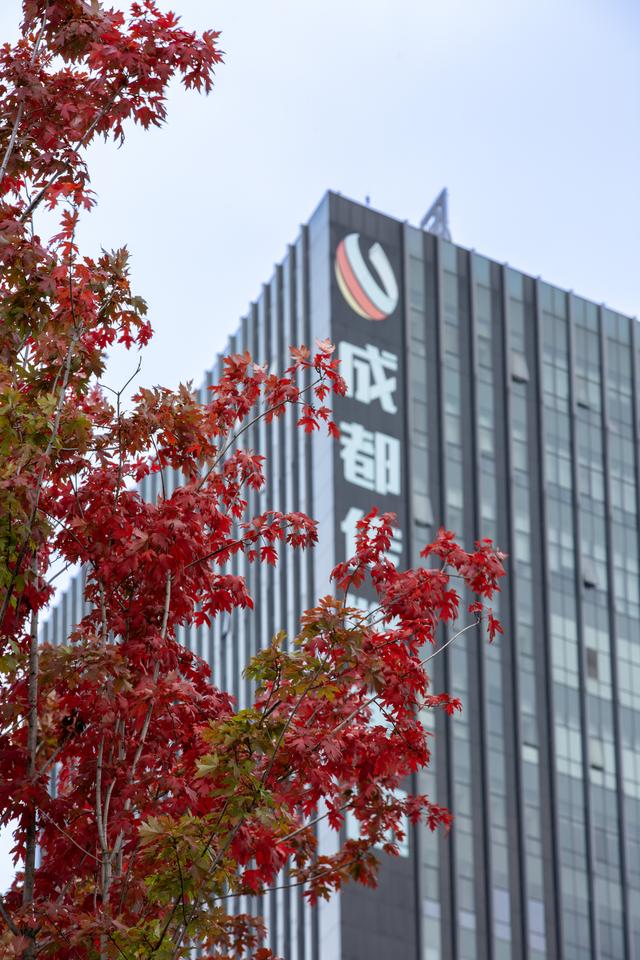 夏赏紫英秋观红 锦江大道秋色上线