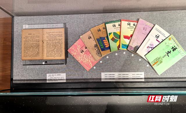 湘见万年丨付淑华：做与游客共情的博物馆