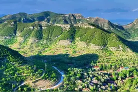 四季旅行｜山东潍坊：楸树花开惊艳暮春时光图片