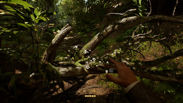 《夺宝奇兵：古老之圈》剧情图文流程全攻略