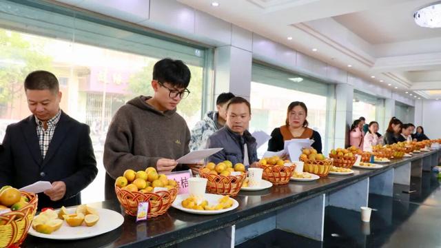 今日开赛！“我是融安金桔王”擂台赛（初赛）开启