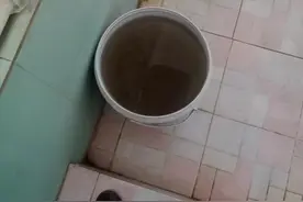 广西横州市那罗村三家养猪场粪污直排，官方：已知情图片