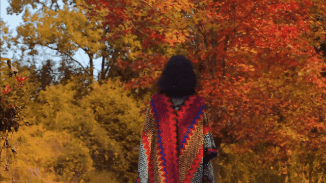 这是今晚的高淳水慢城！