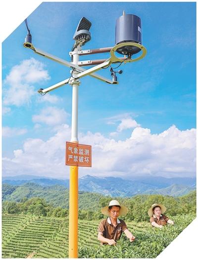 坚持“双碳”引领，推动全面绿色转型（稳中求进	、提质增效 实现“十五五”良好开局）